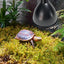 Reptile Heat Lamp Fixture Deep Dome Lampshade Optical Reflection Cover Terrarium Light Fixture for UVB Light Bulb Basking Bulb