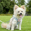 Adjustable Pet Dog Harness with 1.2m Leash Set Pet Collar Leash Outdoor Walking For Puppy Cats French Bulldog Chihuahua