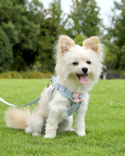 Adjustable Pet Dog Harness with 1.2m Leash Set Pet Collar Leash Outdoor Walking For Puppy Cats French Bulldog Chihuahua