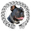 19MM Gold Dog Chain Collar with Solid Buckle Stainless Steel Chew Proof Pet Chains Collars for Large Dog