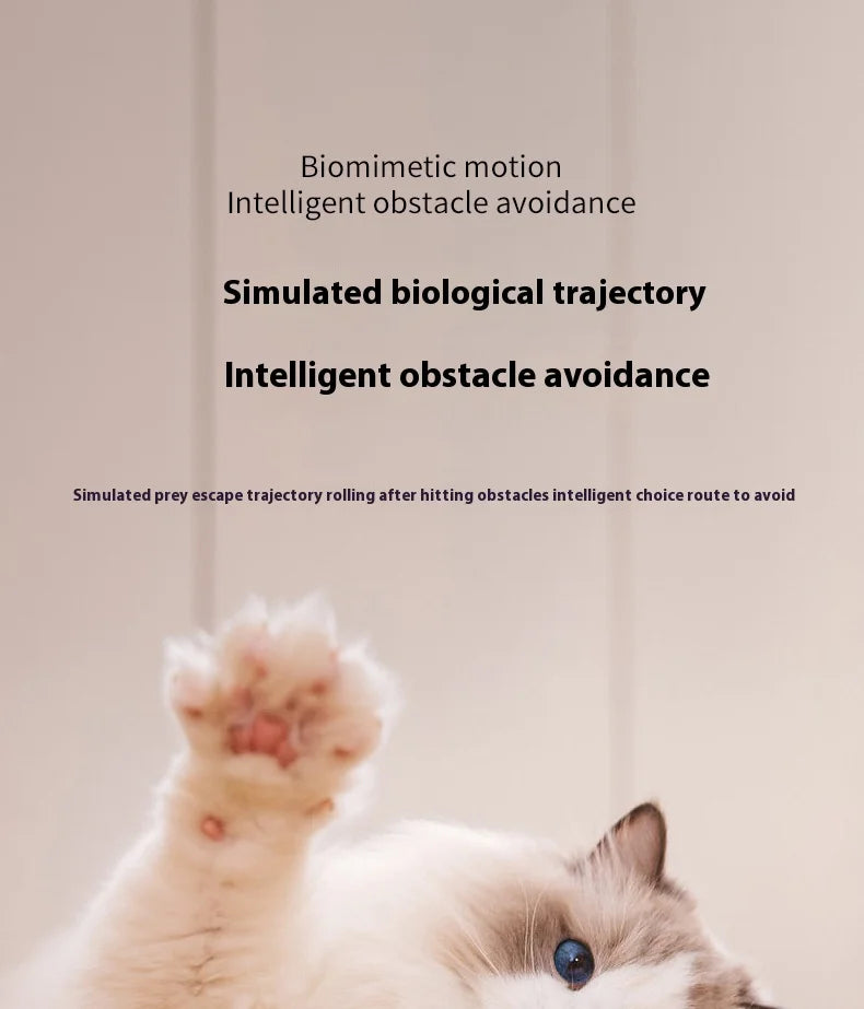 Pet automatic cat teasing ball cat toy for self fun and relaxation, rolling ball pet gravity cat toy