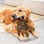Cute Cow Puppy Dog Interactive Toy Bite Resistant Pet Chew Toys Dog Squeaky Toys For Small Dogs Orangutan Shape Accessories