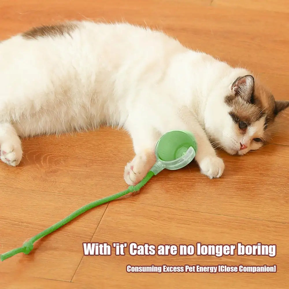 Automatic Interactive Cat Toy Electric Cat Toy Ball Cat Puzzle Toy Cat Balls For Interaction Small Big Cat Puzzle Toy