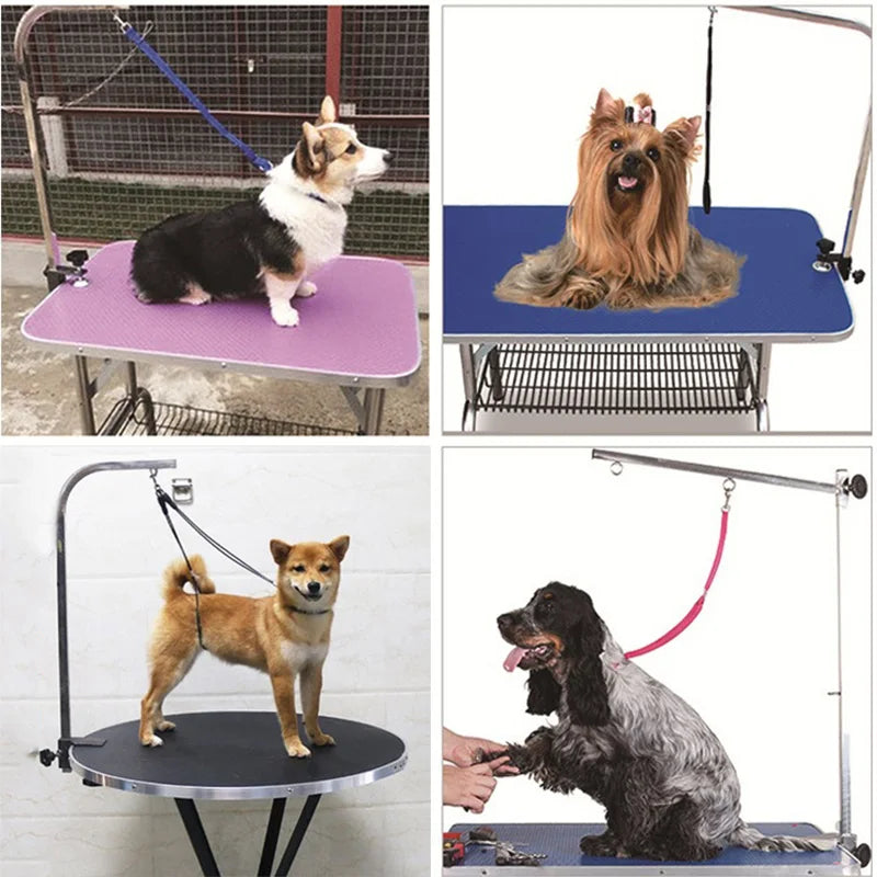 Pet Beauty Table Hanging Fixing Rope Shearing Shower Cat Dog Fixture Leash for Dogs Puppy Yorkies mascotas Grooming Accessories