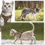 Nylon Tactical Cat Harness Chest Pectoral Collar Adjustable Suit for Puppy Animals Dog Pet Accessories Supplies Luxury