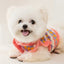 Knitted Flower Pet Dog Sweaters Orange Winter Warm New Year Clothing for French Bulldog Outfits Fancy Small Puppy Overalls