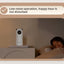 ROJECO Automatic Cat Toys Interactive Smart Teasing Pet LED Laser Indoor Cat Toy Accessories Handheld Electronic Cat Toy For Dog