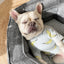 Deep sleep hexagonal dog sofa French fighting kennel dog bed fully removable and washable pet bed thick warm dog cushion