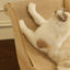 Sisal Cat Chair Wooden Cat Lounge Chair Cozy Stable Pet Furniture Pet-Friendly Multi-Functional Cat Scratcher Cat Beach Chair