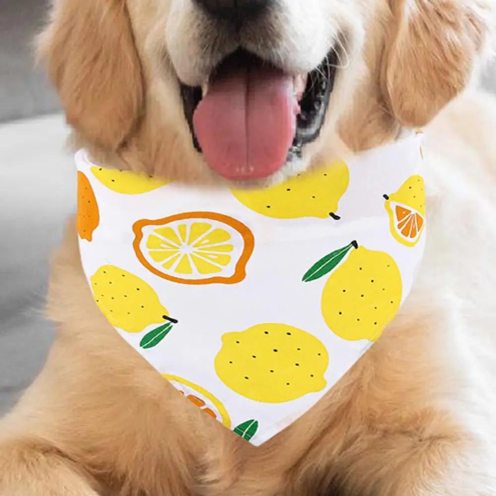 Fruit Dog Bandana Triangle Scarfs Bibs with Cute Fruit Pattern Cartoon Dog Triangle Bib Fruit Print Pet Neckerchief for Pet Dog