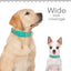 Reflective Pet Dog Collar Durable Nylon Dog Collars Necklace Adjustable Puppy Collars for Small Large Dog Pug Safety In Night