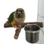 1Set Stainless Steel Birds Parrot Feeder Bowl Round Small Pet Natural Wood Stand Food Water Drinking Feeding Bowl