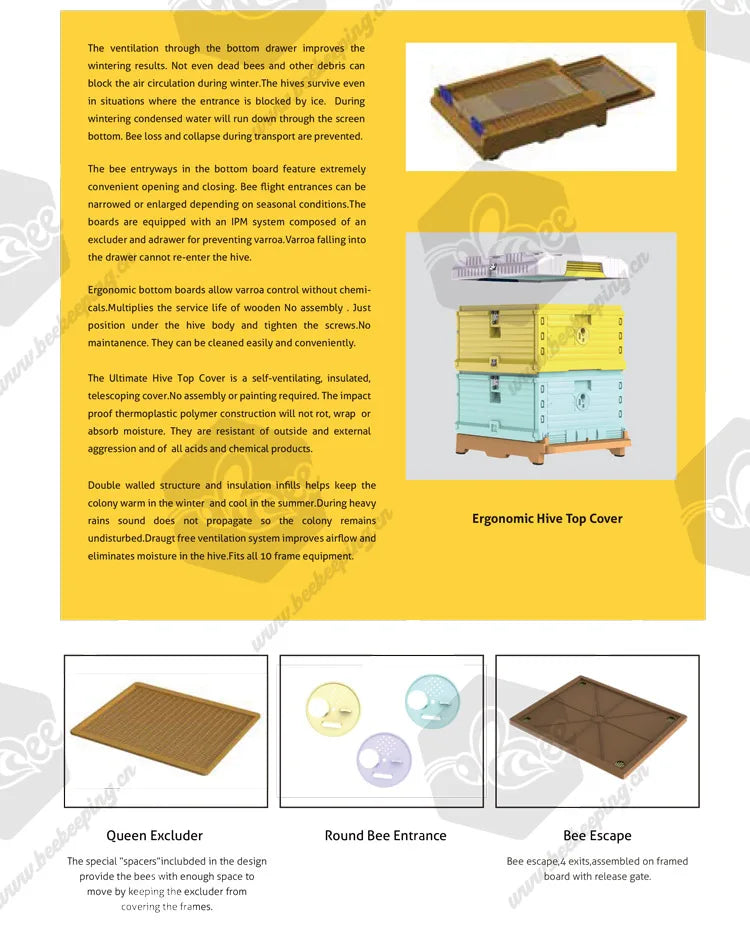 Beekeeping Equipment  2 Layer Honey Bee Hive Box 10 Frame Price Custom Kit Food Grade Color Thermo Plastic Beehive for Sale