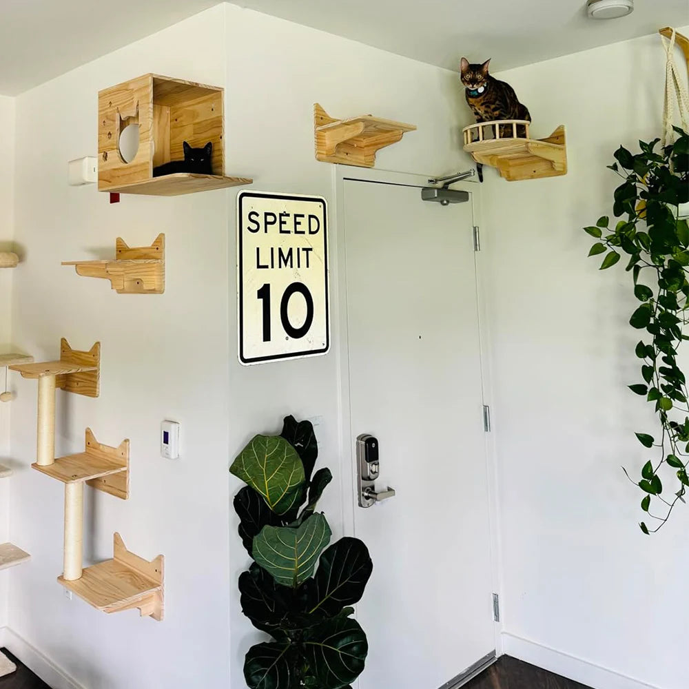 Cat Hammock Wall Mounted Wooden Scratcher Cat Climbing Shelves Kitty Beds Perches Stable Cats Wall Shelves For Sleeping Playing