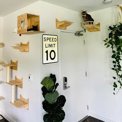 Cat Hammock Wall Mounted Wooden Scratcher Cat Climbing Shelves Kitty Beds Perches Stable Cats Wall Shelves For Sleeping Playing