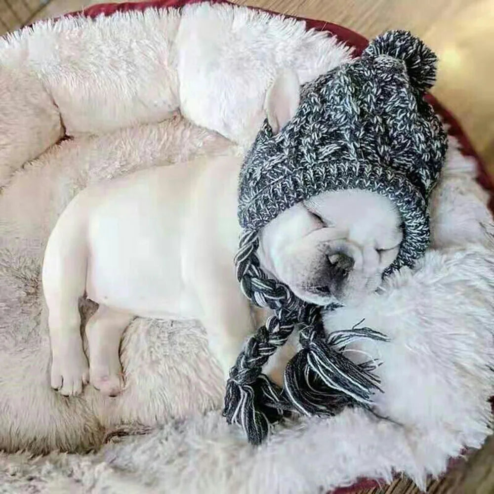 Winter Soft Dog Hat Warm Pet Dog Knitted Hat with Ear Holes Windproof Knitting French Bulldog Hat for Puppy Small Medium Dog Cap