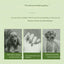 Multifunctional Pet Hair Comb for Dogs Cats Animals Massage Cat Dog Bathing Brush Maltese mascotas Grooming Accessories Supplies