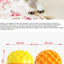 Pet toy ball chews, cleans teeth, is resistant to biting, cat toy chews, emits sound, elastic dog toy ball