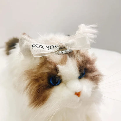 Lovely Pearl Pet Head Wear Black and White Ribbon York Dog Neck Collar Cat Hair Clip Dog BB Clips Teddy Bear Hair Accessories
