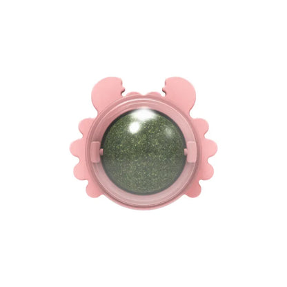 1PC Natural Cats Candy Snack Ball Rotatable Toy Catnip Pure Cat Molar Toothpaste Edible Bolus Teeth Cleaning Bite-resistant Toys