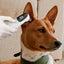 Pet Dog Cat Ear Digital Thermometer Animal Thermometers For Cats Animal Measuring Non-Contact Electronic For Home and Clinic Use
