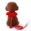 Small Animal Rabbit Harness with Leash Cute Bunny Collar Pet Bunny Supplies Cat Harness & Leash Set for Adult Guinea Pig Ferret