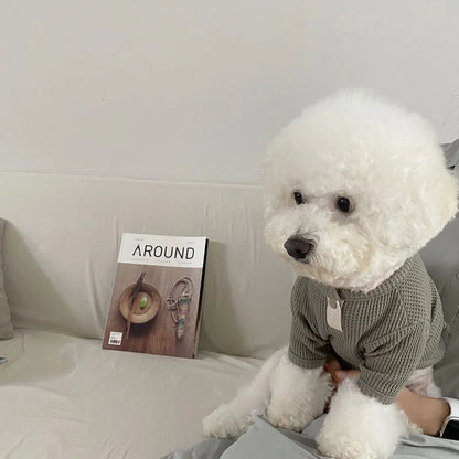 Thin Dog Clothes Solid Pet Dog Hoodies Fashion Kitten Puppy Undershirts Chihuahua Clothing Yorkie Bichon Vest Dog Costume Shirt