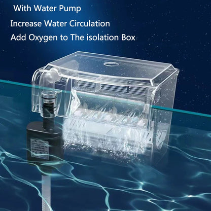﻿ High Transparent External  Aquarium fish breeding box juvenile fish tank isolation Betta fry spawning apparatus Tropical fish