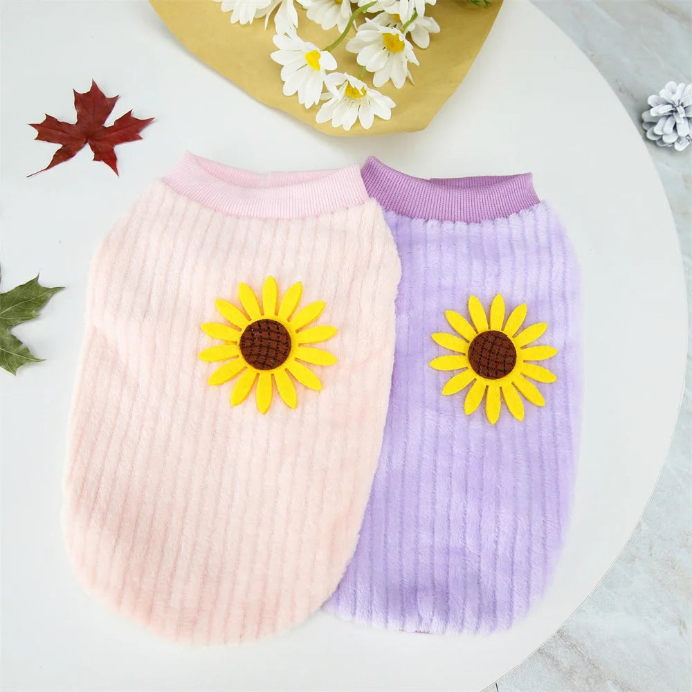 Autumn Winter Sphynx Cat Clothes Korean Pet Sweater for Cats Gotas Katten Kedi Pullovers Dog Hoodie mascotas Costume Clothing
