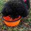 Hot Selling Camping Travel Portable Folding Dog Pet Food Water Bowl