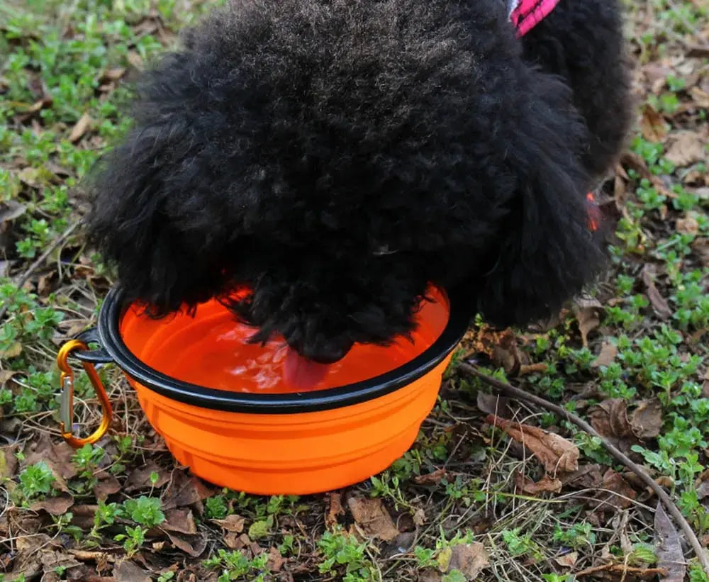 Hot Selling Camping Travel Portable Folding Dog Pet Food Water Bowl