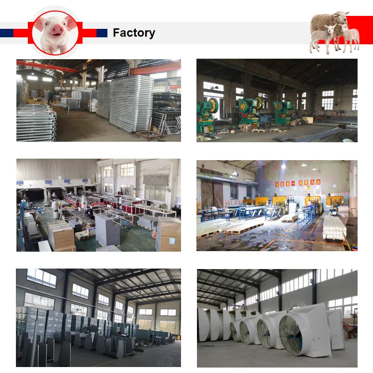 Chicken Coop Egg Laying Automatic Feces Clearing and Egg Rolling Chicken Cage Henhouse Folding Breeding Cage