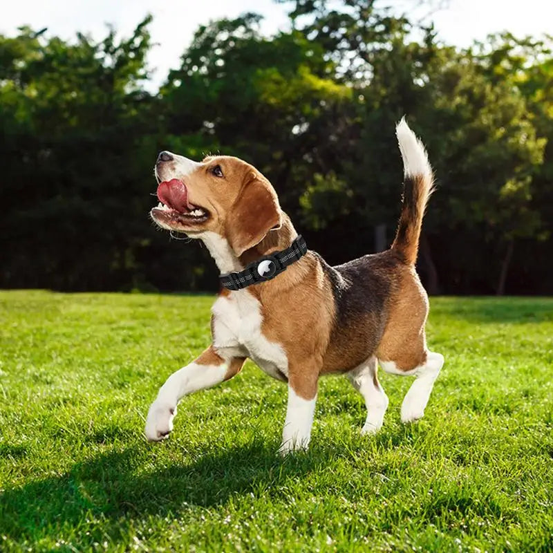 Dog Collar Waterproof Positioning Dog Collar Adjustable Pet Collar Reflective Dog Neck Wearing Puppy Kitten Nest For Pets