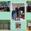 SHENGYUAN best selling Beehive and Accessories Australian Hive