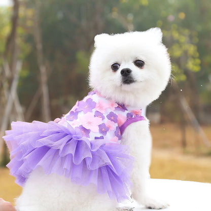 Lace Chiffon Dress for Small Dog Cat Lovely Floral Dress Pet Party Birthday Costume Dog Wedding Dress Cute Dog Clothes in Summer