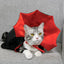 Cat Halloween Costume Pet Cloak Red Black Kitten Cape Pet Puppy Apparel Halloween Party Costume for Small Dogs Cats Accessories