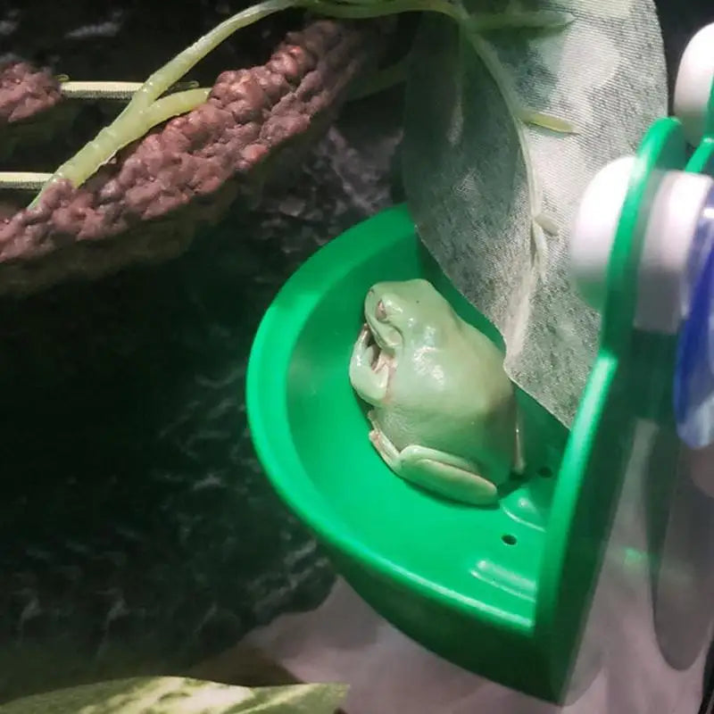 Frog Habitat Cute Frog Shaped Wall-Mounted Tank Decoration For Frog Cute Frog Terrarium Decor Fish Tank Tree Frog Habitat For