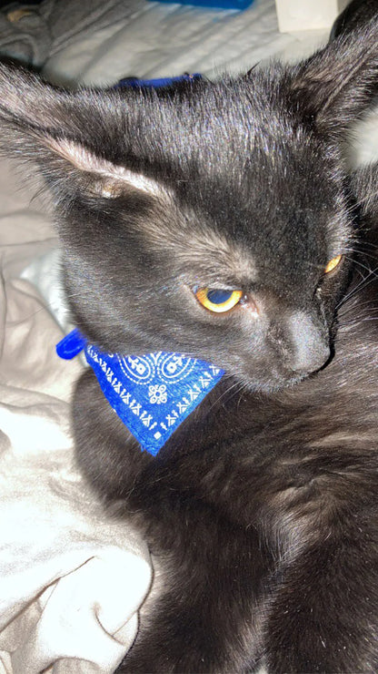Small Dog Cat Bandana Collar Adjustable Puppy Dog Kitten Neckerchief PU Collar with Printed Triangular Scarf Pet Collar for Cat