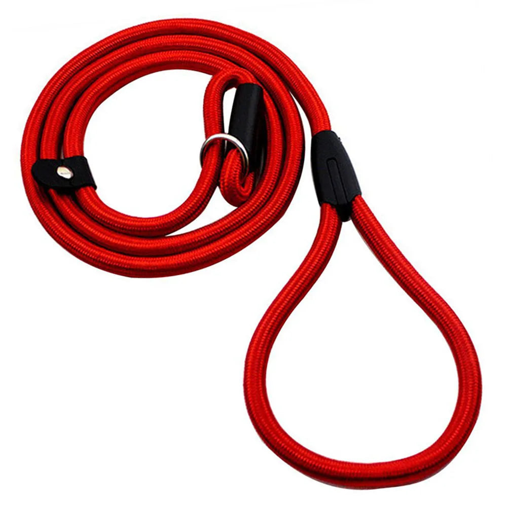 Nylon Dog Leash Pet Puppy Slip Lead Rope Dog Slip Leash Chain Collar Adjustable No-Pull Dog Training Leash for Small Dogs Yorkie