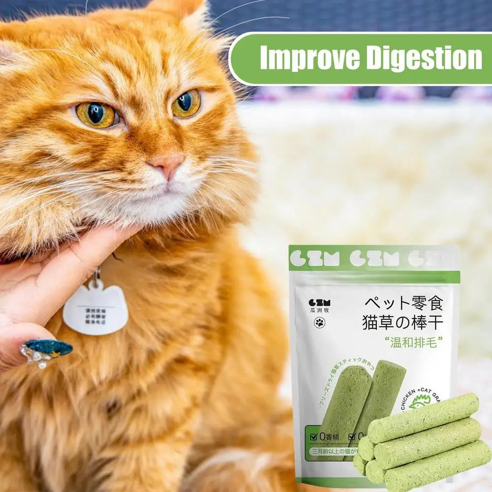 Cat Grass Stick Cat Grass Chewing Stick Natural Teeth Cleaner Removal Row Kitten Pet Snacks Teeth Caring for Kitten Mouth Health