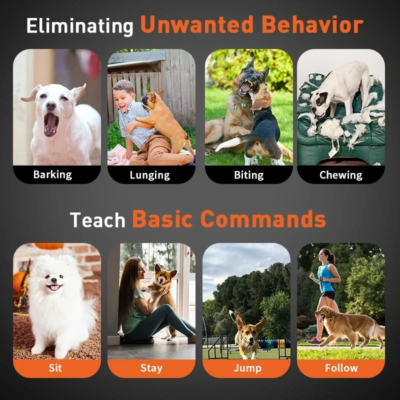 IP67 waterproof best automatic bark dog training collar with remote control small to large dog beep buzz shock