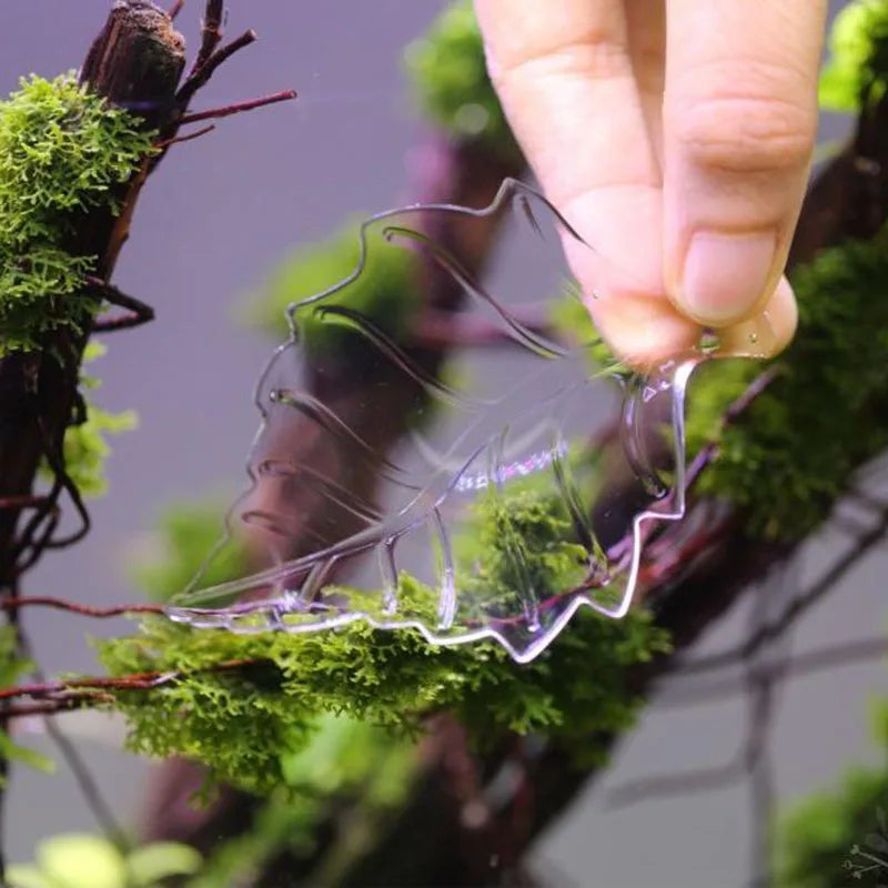 HighTransparent Acrylic Aquarium Fish Tank Shrimp Food Feeding Circle Feeder Floating Bottom Feeder Fish Shrimp With Suction Cup