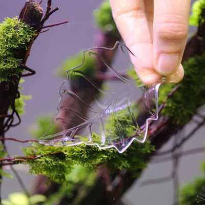 HighTransparent Acrylic Aquarium Fish Tank Shrimp Food Feeding Circle Feeder Floating Bottom Feeder Fish Shrimp With Suction Cup