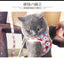 Dog Harness with Bow Plaid Cat Harness Adjustable Length Pet Harness with Dog Leash Four Colors Dog Harness and Leash Set