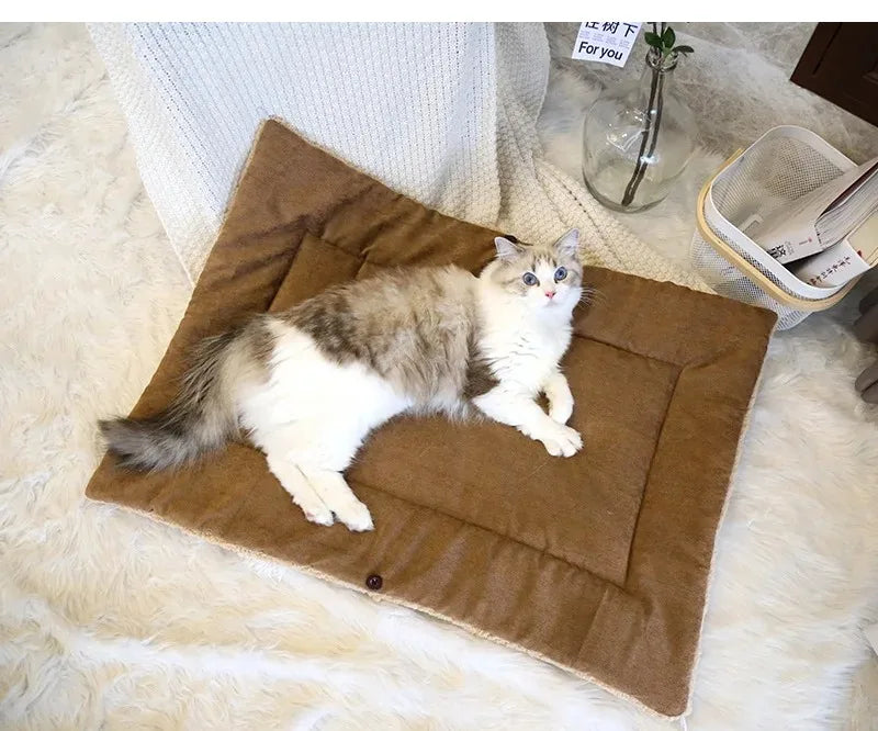 Cats Beds for Winter Warm Accessories Kitten Houses Dog Bed Basket Mat Things Cushions House Puppy Goods Pet Supplies