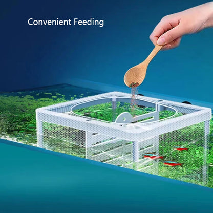 Plastic Aquarium Fish Breeding Isolation Box Fish Tank Aquarium Breeder Hatching Incubator Fish Tanks Isolator Accessories New