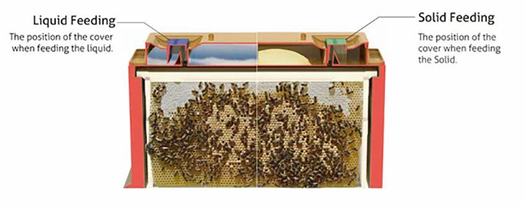 Benefitbee 10 frames size hive box three layers plastic Langstroth thermo beehive