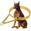 30-71cm Dog Collar Metal Adjustable Double Row Telescopic Chain Triple Ring Explosion-Proof Punch Collar Dog Training Supplies