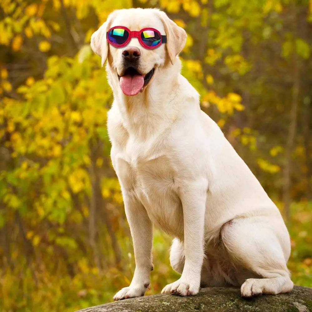 Pet Goggles Puppy Eye Protection UV Protection Dog Sunglasses With Adjustable Strap Eye Protection Goggles for Dogs Doggy Pet