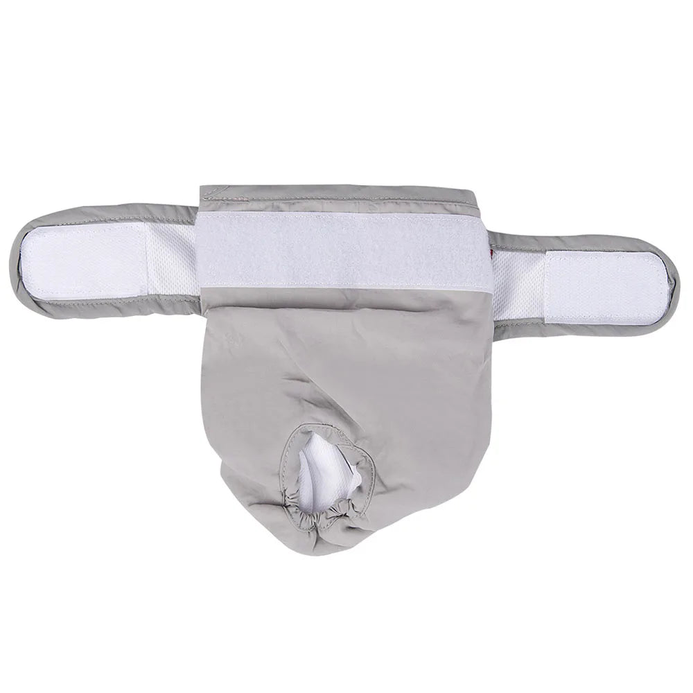 Female Dog Diapers Washable Pet Underwear for Girl Puppies Large Dogs Panties Sanitary Physiological Pants for Dogs Pet Supplies